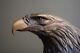 15 Lg Vigilance American Bald Eagle Bronze Sculpture Signed Robert Taylor 27#