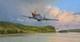 Air Superiority By Robert Taylor Aviation Art Signed By 12 Wwii Mustang Aces