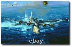 Caught On The Surface by Robert Taylor Giclee Studio Proof Sunderland U