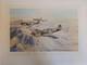 Desert Hawks By Robert Taylor And Signed Four Raaf And Raf Pilots