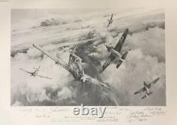 Eagles Divide by Robert Taylor autographed by 11 WWII Luftwaffe & Mustang Aces