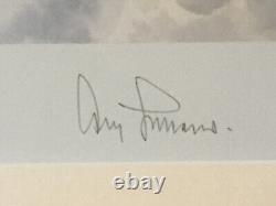 FLIGHT OF EAGLES' ltd ed military aviation print Robert Taylor signed