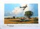Fight For The Sky By Robert Taylor Remarque 21/25 Withcoa Signed By 28 Pilots