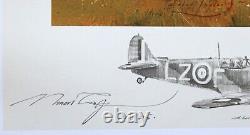 Fight For The Sky by Robert Taylor Remarque 21/25 withCOA Signed by 28 Pilots