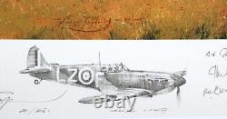 Fight For The Sky by Robert Taylor Remarque 21/25 withCOA Signed by 28 Pilots