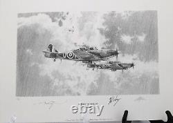 Fight For The Sky by Robert Taylor Remarque 21/25 withCOA Signed by 28 Pilots