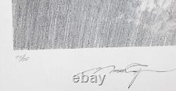 Fight For The Sky by Robert Taylor Remarque 21/25 withCOA Signed by 28 Pilots
