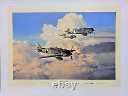 Gathering Storm by Robert Taylor art print signed by Fw190 Aces