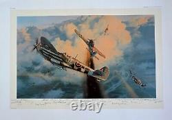 Greycap Leader Robert Taylor LE Print Signed by 20+ Canadian Fighter Pilots