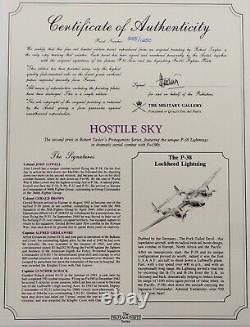 Hostile Sky ROBERT TAYLOR LTD ED WWII Aviation Print Signed with COA New P38 B24