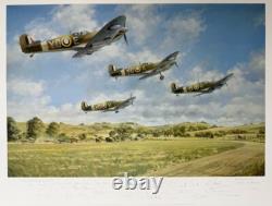John Young INSPIRATION Spitfire 20 SIGNATURE RAF Battle of Britain Aviation Art