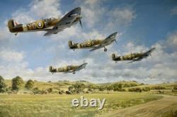 John Young INSPIRATION Spitfire 20 SIGNATURE RAF Battle of Britain Aviation Art