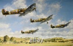John Young INSPIRATION Spitfire 20 SIGNATURE RAF Battle of Britain Aviation Art