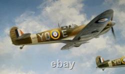 John Young INSPIRATION Spitfire 20 SIGNATURE RAF Battle of Britain Aviation Art