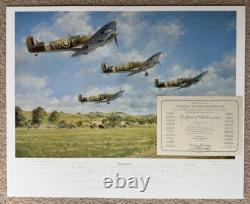 John Young INSPIRATION Spitfire 20 SIGNATURE RAF Battle of Britain Aviation Art
