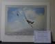 Ramrod By Robert Taylor Battle Of Britain, 27 Aircrew Sigs Inc Gunther Rall Jg52