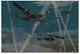 Robert Taylor Duel In The Dark Knight's Cross Edition. 18/350 Coa