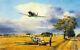 Robert Taylor Summer Victory Raf Spitfire Battle Of Britain Messerschmitt Rare