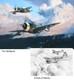 Robert Taylor Wolfpack/pack Of Wolves P-47 Thunderbolt 56th Bomb Group 2 Print