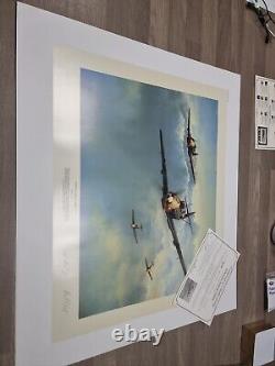 Richard Taylor EVENING REFLECTION LUFTWAFFE & Cert Signed x2 Pilots 46 OF 325