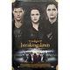 Robert Pattinson Taylor Lautner Signed Breaking Dawn Ds Poster With Character
