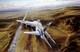 Robert Taylor Airstrike Counter Signed By Pilot