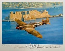 Robert Taylor FIGHTER SWEEP 3 US Spitfire Pilot Signatures Aviation Art Print