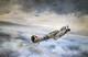Robert Taylor First Of Many Douglas Bader Tribute