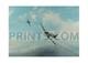 Robert Taylor Ramrod 792 Counter Signed By Pilot