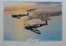 Robert Taylor SPITFIRES OVER DARWIN withCOA 4 Pilots Signatures Print