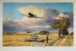 Robert Taylor SUMMER VICTORY Spitfire RAF Battle of Britain Aviation Art Print