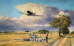 Robert Taylor SUMMER VICTORY Spitfire RAF Battle of Britain Aviation Art Print