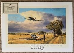 Robert Taylor SUMMER VICTORY Spitfire RAF Battle of Britain Aviation Art Print