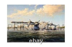 Robert Taylor Sky Giant