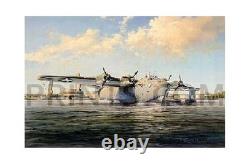 Robert Taylor Sky Giant