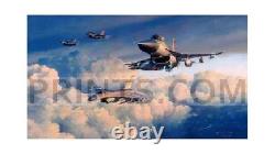 Robert Taylor Viper Venom SN counter signed by pilots