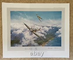 SPITFIRE' by ROBERT TAYLOR (NEW) Signed Bader/Johnson