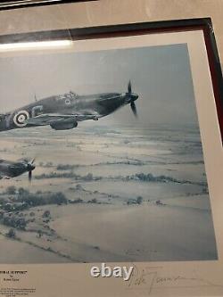 Signed Moral Support Robert TAYLOR Art 29.5x24Plane Framed Military RAF Badge