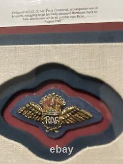 Signed Moral Support Robert TAYLOR Art 29.5x24Plane Framed Military RAF Badge