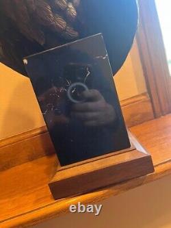 Vigilance Large American Bald Eagle Bronze Sculpture Signed Robert Taylor 30 Lb