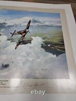 Duel d'Aigles par Robert Taylor Impression Signée par Douglas Bader & Adolf Galland