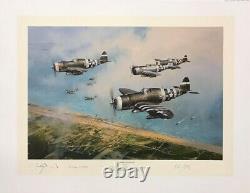 Les Hell Hawks au-dessus de l'Utah, art de l'aviation de Robert Taylor signé par les pilotes de chasse du Jour J