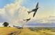 Proie Des Aigles Par Robert Taylor, Art Aérien Signé Par 5 As Du Squadron Eagle