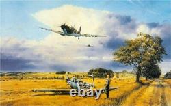 ROBERT TAYLOR Victoire d'été RAF Spitfire Bataille d'Angleterre Messerschmitt RARE