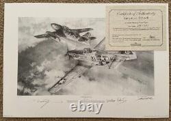 Robert Taylor ATTAQUE SURPRISE P-51 Mustang & Me-262 Affiche d'art de l'aviation MINT