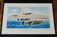 Robert Taylor Bogeys 11 O'clock High Collection D'aces Volants De La Seconde Guerre Mondiale Mint