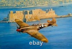 Robert Taylor LUTTEUR BALAYAGE 3 Signatures de pilotes Spitfire américains Aviation Art Print