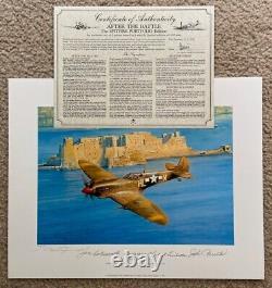 Robert Taylor LUTTEUR BALAYAGE 3 Signatures de pilotes Spitfire américains Aviation Art Print
