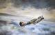 Robert Taylor Premier D'un Nombre De Tributs à Douglas Bader