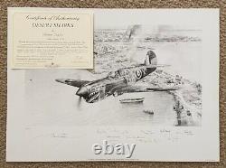 Robert Taylor REQUINS DU DÉSERT Curtiss P-40 7 SIGNATURES! Aviation Art Pencil Print